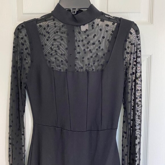 Sheer Polka Dot Long Sleeve Black Bodycon Dress With Mock Neck & Back Zip Closur - Picture 2 of 9